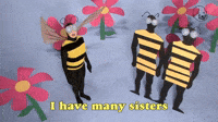 I Have Many Sisters