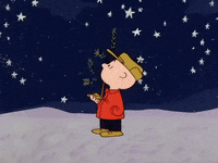 charlie brown GIF by Peanuts
