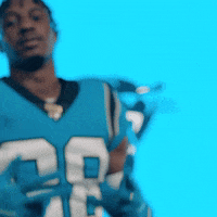 Happy North Carolina GIF by Carolina Panthers