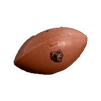 Touchdown Gameday Sticker by Hannover Grizzlies