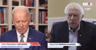 Bernie Sanders GIF by Election 2020