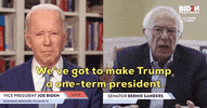 Bernie Sanders GIF by Election 2020