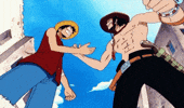 One Piece Handshake GIF