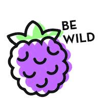 Vegan Fruit Sticker by The Good Cider