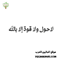 عربي Sticker by VeganArabs