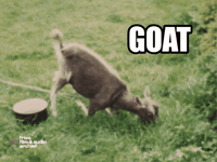 The Greatest Goat GIF by Fries Film & Audio Archief