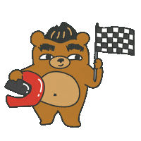 Car Racing Sticker by Dinest