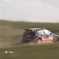 Driving Take Off GIF by FIA European Rally Championship