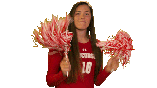 Wisconsin Volleyball Dance Sticker by Wisconsin Badgers