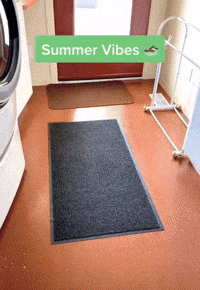 Summer Quarantine Vibes Check!