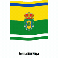 Castilla Y Leon Flag GIF by Formación Ninja