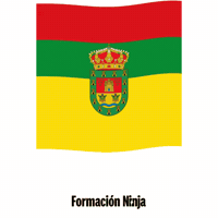 Castilla Y Leon Flag GIF by Formación Ninja