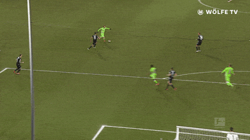 Football Sport GIF by VfL Wolfsburg