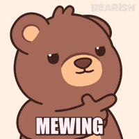 Teddy Bear Bro GIF by BEARISH