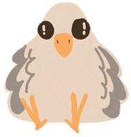 Summer Bird Sticker
