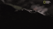 mars hanna GIF by National Geographic Channel