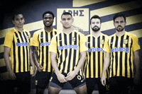 Goal GIF by ARIS FC