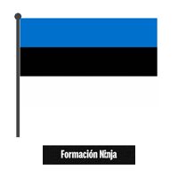 Flag Bandera Sticker by Formación Ninja