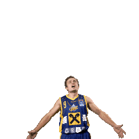 Bsl Sticker by Basketball Superliga