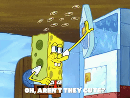 season 4 GIF by SpongeBob SquarePants