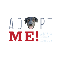 Adoptme Sticker by LabsAndMore