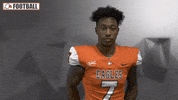 Cnfb GIF by Carson-Newman Athletics