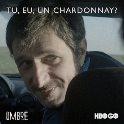 HBO_Romania giphyupload smirk chardonnay hbogo GIF