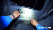 Lets Go GIF by Deadstream