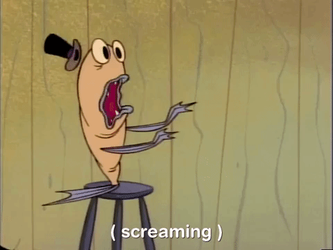 ren and stimpy nicksplat GIF