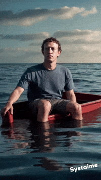 Marc Zuckerberg GIF by systaime