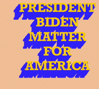 Election 2020 Democrat GIF by techshida