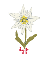 Christmas Winter Sticker by Il Gufo