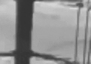 Art Film GIF by jorgemariozuleta