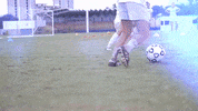 Golden Eagles Oru GIF by Oral Roberts University