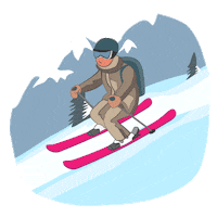 Skiing Freeride Sticker by nwpd