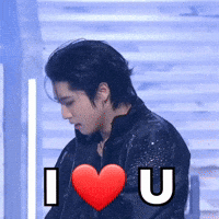 Stray Kids Love GIF