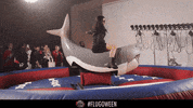 bullettime GIF by Theflug360