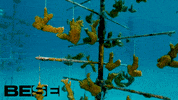 blue planet ocean GIF by BESE