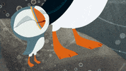 #puffin #rock #puffinrock #oona #hiccup #puffinhiccup GIF by Puffin Rock