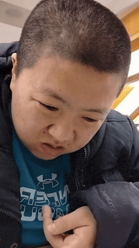 Chicago Niche GIF