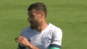 German Soccer Applause GIF by FC Schalke 04