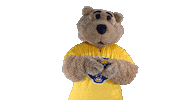 West Virginia College Sticker by WVU Tech Golden Bears