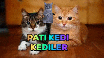 BenBartu_YT giphygifmaker giphyattribution GIF