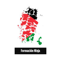 Flag Bandera Sticker by Formación Ninja