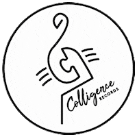 Pop Music Flamingo Sticker by Colligence Records