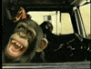 Car Laughing GIF