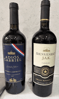 Vino Kast GIF