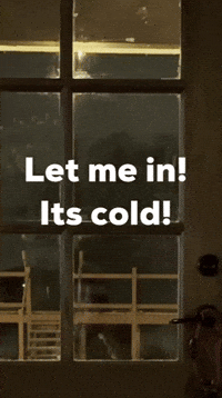 Freezing Snow Day GIF