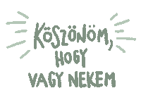 szlvyzsf hala koszi koszonom vagy Sticker