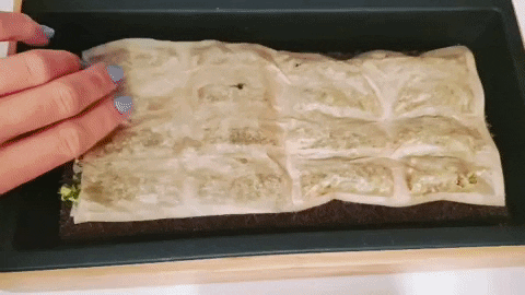 rcamille5555 giphyupload GIF